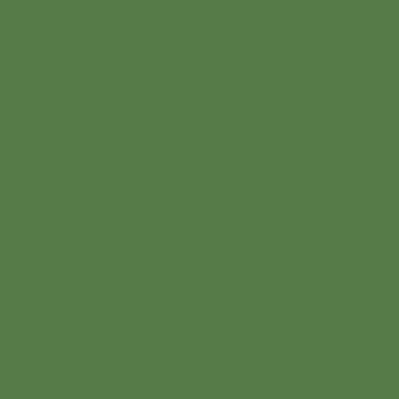 Fine Line Corante Fortgel Extra Forte 25g