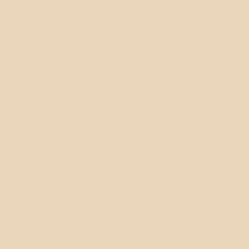 Fine Line Corante Fortgel Extra Forte 25g