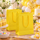 Tema Festas Sacola de Papel Lisa 22x15cm com 10 Unidades Várias Cores
