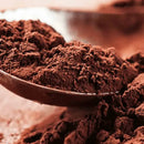 Selecta Namur Chocolate em Pó 70% Cacau 500g