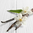 Mago Extrato de Baunilha Natural 30ml