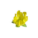 Decora Festas Forminha Stylo 25 Unidades