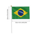Bandeira do Brasil de Mão com Haste 20 x 30cm