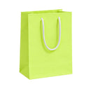 Tema Festas Sacola de Papel Lisa 22x15cm com 10 Unidades Várias Cores