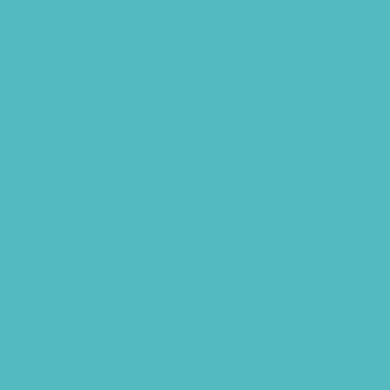 Fine Line Corante Fortgel Extra Forte 25g