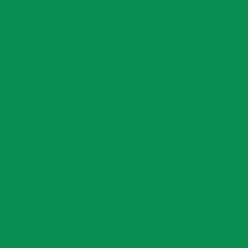 Fine Line Corante Fortgel Extra Forte 25g